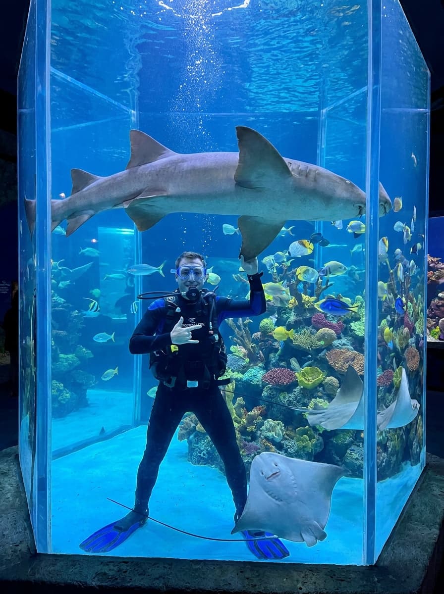 The Cancún Interactive Aquarium