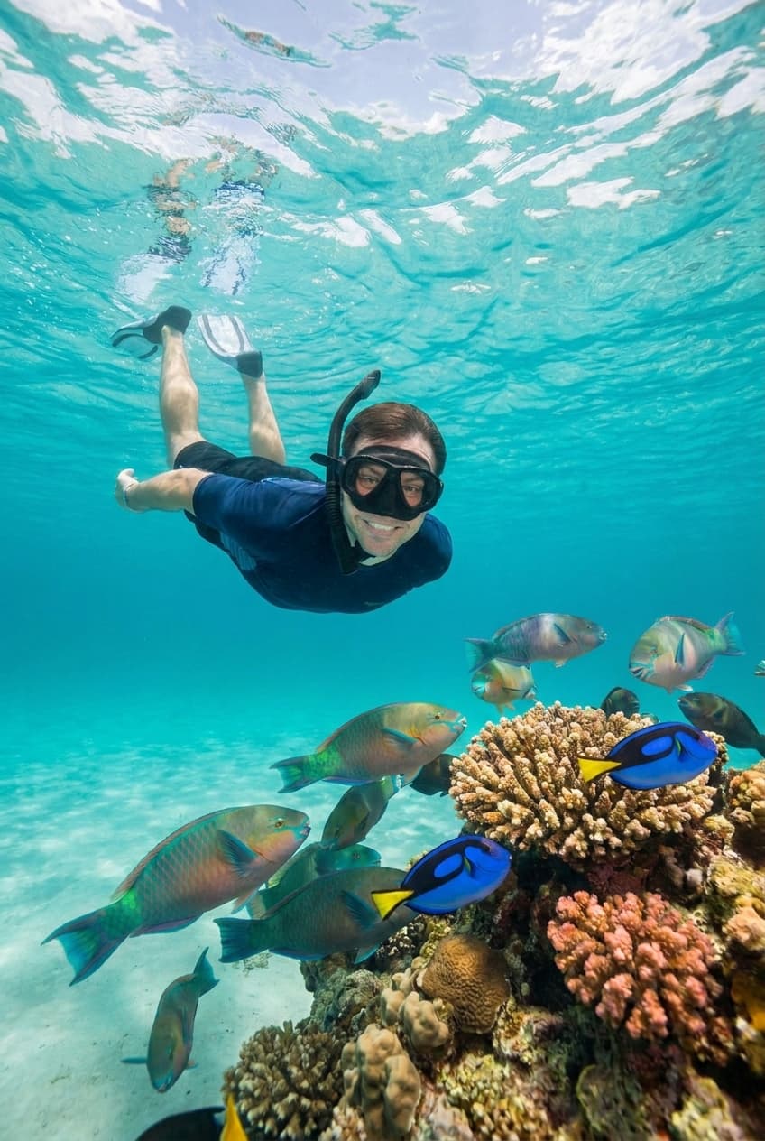 Snorkeling in Playa del Carmen, Cozumel, Tulum and Akumal